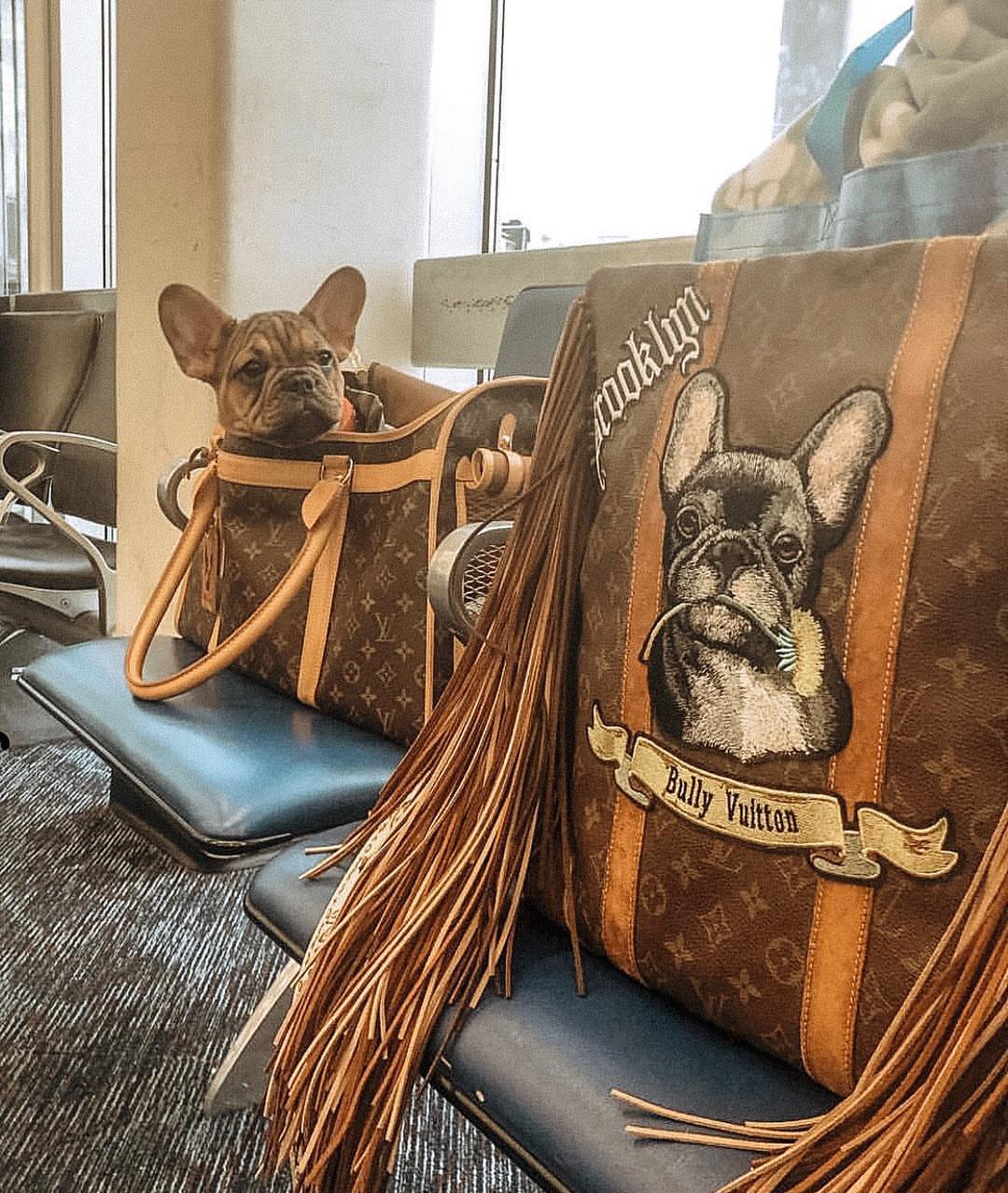 Hand Painted French Bulldog Custom Fringe Tote Bag